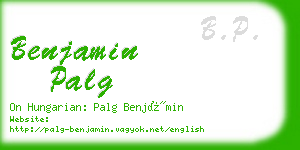 benjamin palg business card